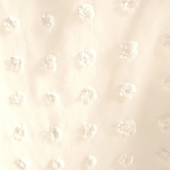 Beautiful Ivory Layered Sheer Textured Polka-dot Short Sleeve Blouse - Picture 4 of 10